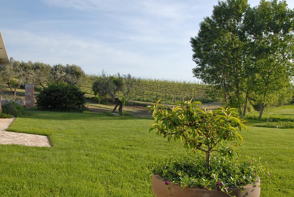 Agriturismo Arte Et Agricoltura Тускания Экстерьер фото