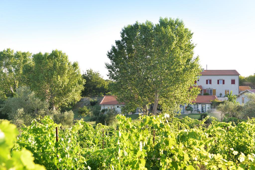 Agriturismo Arte Et Agricoltura Тускания Экстерьер фото