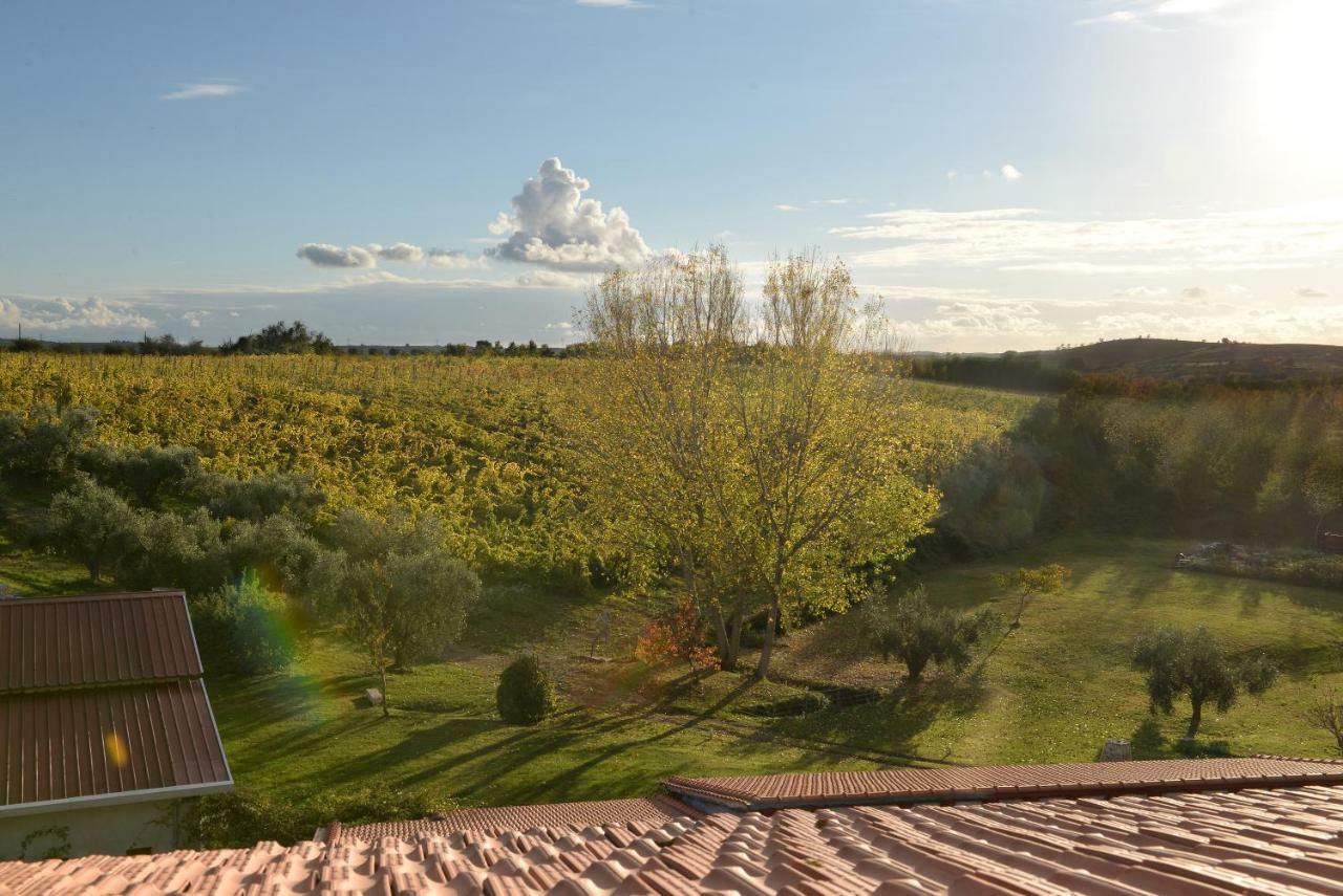 Agriturismo Arte Et Agricoltura Тускания Экстерьер фото